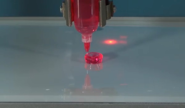 BioAssemblyBot-1
