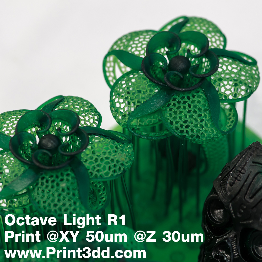 Octave Flower Ring Test