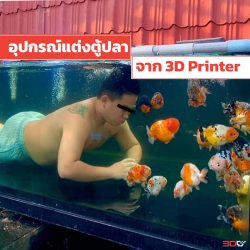 Read more about the article Share Idea ทำอุปกรณ์แต่งตู้ปลา Aquarium จาก 3D Printer