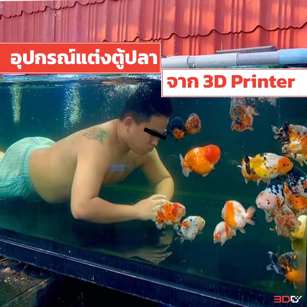 You are currently viewing Share Idea ทำอุปกรณ์แต่งตู้ปลา Aquarium จาก 3D Printer