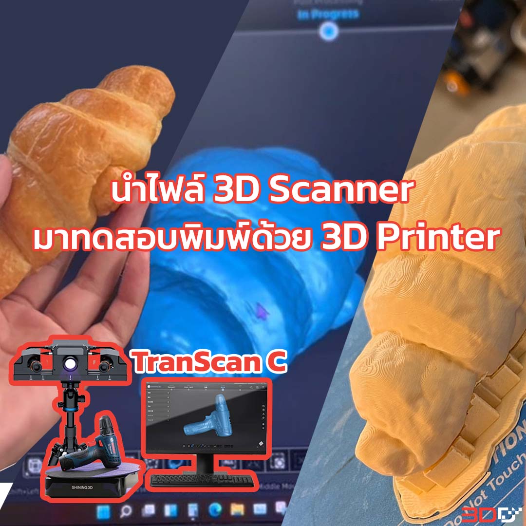 You are currently viewing นำไฟล์ 3D Scanner มาลองพิมพ์งานจริง โดยไม่ผ่านโปรแกรมใดๆ
