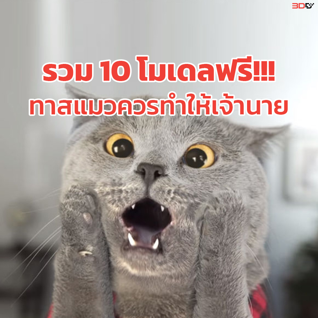 You are currently viewing รวม 10 โมเดลฟรี!!! ทาสแมวควรทำให้เจ้านาย